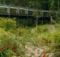 Eurobodalla Botanic Gardens - Darwin Tourism
