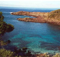 Bass Point Reserve