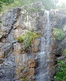 Wedding Bells Forest Drive - Darwin Tourism 0