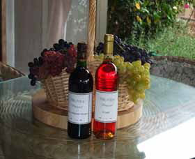 Villa D Esta Vineyard - Darwin Tourism 2