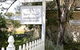 Mayfield Vineyard Cellar Door - thumb 0
