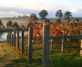Roses Vineyard At Innes View - Darwin Tourism 2