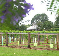 Douglas Vale Historic Homestead  Vineyard - Darwin Tourism