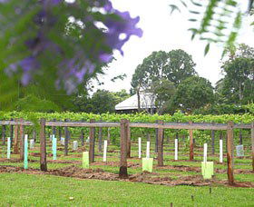 Douglas Vale Historic Homestead & Vineyard - Darwin Tourism 0