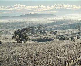 Kurrajong Downs Wines Vineyard - Darwin Tourism 1