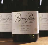 Briar Ridge Vineyard - Darwin Tourism