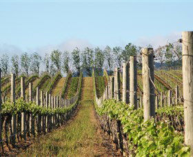 Philip Shaw Wines - Darwin Tourism 0