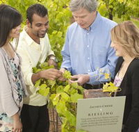 Jacob's Creek Vineyard Tour - Darwin Tourism