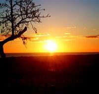 Rocky Ridge Vineyard and Cellar Door - Darwin Tourism