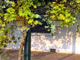 Wolseley SA Darwin Tourism