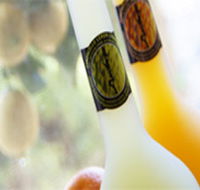 Ambra Limoncello - Darwin Tourism