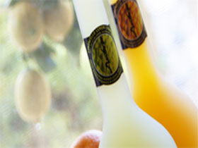 Ambra Limoncello - Darwin Tourism 0