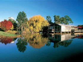 Balnaves Of Coonawarra - Darwin Tourism 0