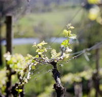 Mount Cole WineWorks - Darwin Tourism