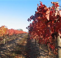 Kooyonga Creek Wines - Darwin Tourism