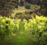 Merindoc Cafe and Cellar Door
