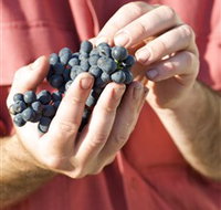 Brown Magpie Wines - Darwin Tourism