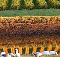 Pipers Brook Vineyard - Darwin Tourism