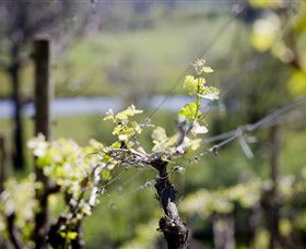 Barrgowan Vineyard - Darwin Tourism 0