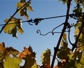 Blackjack Vineyards - Darwin Tourism 1