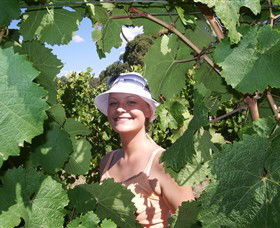 Harcourt Valley Vineyards - Darwin Tourism 5