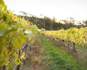 Harcourt Valley Vineyards - Darwin Tourism 0