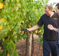 Fratin Brothers Vineyard - Darwin Tourism