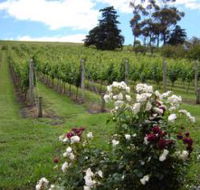 Pembroke Estate Vineyard - Darwin Tourism