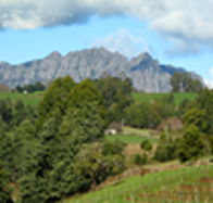 Lake Barrington Vineyard - Darwin Tourism