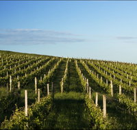 Delamere Vineyard - Darwin Tourism