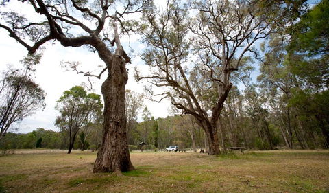 Munghorn Gap Nature Reserve - Darwin Tourism 3