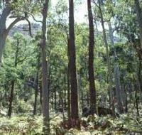 Cathedral Range State Park - Darwin Tourism