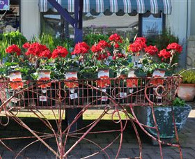 Van Loon's Nursery - Darwin Tourism 0