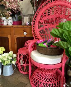 Van Loon's Nursery - Darwin Tourism 3