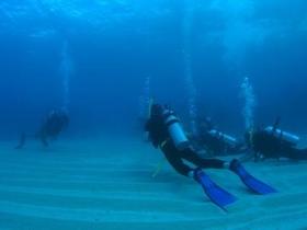 Man And Wife Rocks Dive Site - Darwin Tourism 0