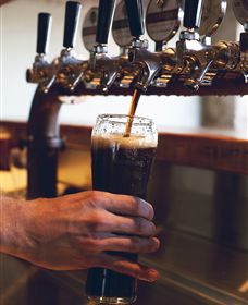 Napoleone Brewery And Ciderhouse - Darwin Tourism 3