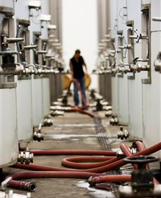 Punt Road Winery - Darwin Tourism 5