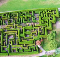 Hedgend Maze and Healesville Laser Sport - Darwin Tourism