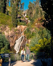Steavenson Falls Marysville - Darwin Tourism 1