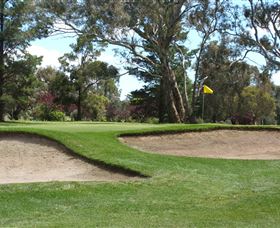 Bathurst Golf Club - Darwin Tourism 1