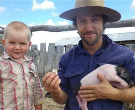 Gleneden Organic Farm And The Gleneden Bullock Team - Darwin Tourism 2