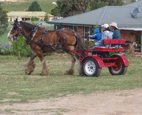 Bathurst Farm Experience - Darwin Tourism 3