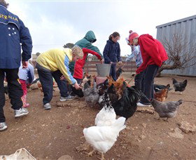 Bathurst Farm Experience - Darwin Tourism 2