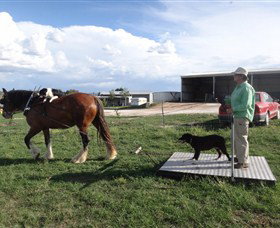 Bathurst Farm Experience - Darwin Tourism 7