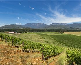Feathertop Winery - Darwin Tourism 3