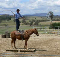 Boggy Creek Shows - Darwin Tourism