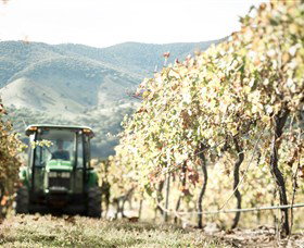 Logan Wines - Darwin Tourism 5