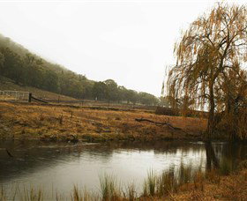 Logan Wines - Darwin Tourism 6