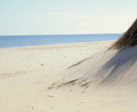 Lilley's Beach - Darwin Tourism 2