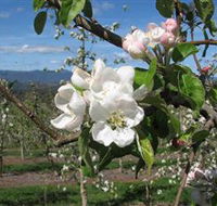 Mouat's Farm - Darwin Tourism